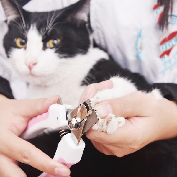 профессиональные pet кусачки для ногтей собаки кошки из нержавеющей стали трехцветной labor-saving кусачки для ногтей удобные очистительные
профессиональные pet кусачки для ногтей собаки кошки из нержавеющей стали трехцветной labor-saving кусачки для ногтей удобные очистительные