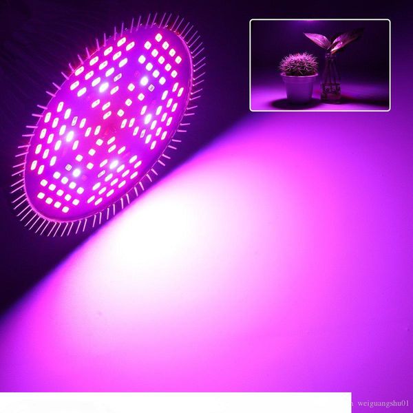 8w 10w 30w 50w 80w led plant lamp full spectrum led plant growth lamp greenhouse planting fill light
8w 10w 30w 50w 80w led plant lamp full spectrum led plant growth lamp greenhouse planting fill light