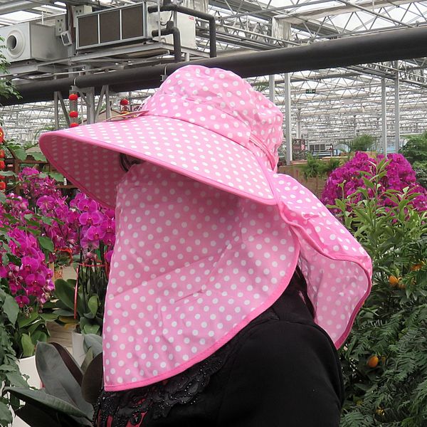 female shade shawl tea-picking dust-proof labor protection large shawl sun hat face-shading uv-proof sun hat batch, Blue;gray
female shade shawl tea-picking dust-proof labor protection large shawl sun hat face-shading uv-proof sun hat batch, Blue;gray