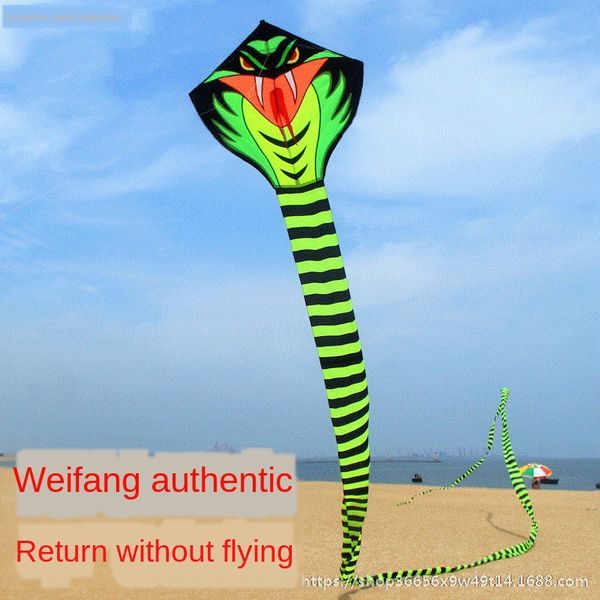 0njbh green snake beginner dragon-shaped children's cartoon large high-end super large breeze kite easy green snake yi fei kite yi fei
0njbh green snake beginner dragon-shaped children's cartoon large high-end super large breeze kite easy green snake yi fei kite yi fei