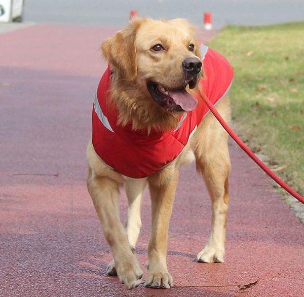 factory outlet autumn winter warm dog clothing windproof heat storage smooth pull neck adjustable reflective pet clothing xl-5xl size
factory outlet autumn winter warm dog clothing windproof heat storage smooth pull neck adjustable reflective pet clothing xl-5xl size