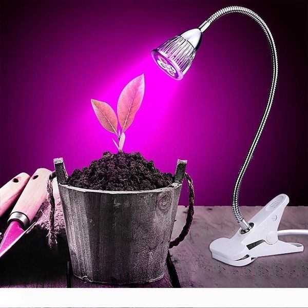 led grow lights for indoor plants 5w clip light lamp flexible 360 degree for hydroponic garden greenhouse flower
led grow lights for indoor plants 5w clip light lamp flexible 360 degree for hydroponic garden greenhouse flower