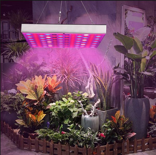 led grow light 25w 45w full spectrum plant lights ac85-265v plant panel lamp for greenhouse hydroponics flowers vegetables
led grow light 25w 45w full spectrum plant lights ac85-265v plant panel lamp for greenhouse hydroponics flowers vegetables
