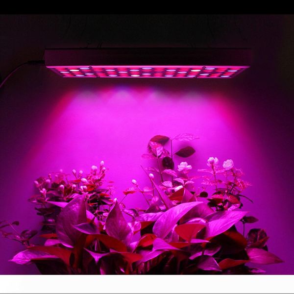 growing lamps led grow light 25w ac85-265v full spectrum plant lighting fitolampy for plants flowers seedling cultivation 10158
growing lamps led grow light 25w ac85-265v full spectrum plant lighting fitolampy for plants flowers seedling cultivation 10158