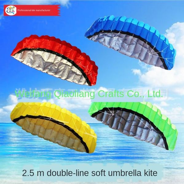 2.5 2.5 m double-line soft umbrella flying m double-line soft umbrella paragliding test beach kite surfing kite
2.5 2.5 m double-line soft umbrella flying m double-line soft umbrella paragliding test beach kite surfing kite