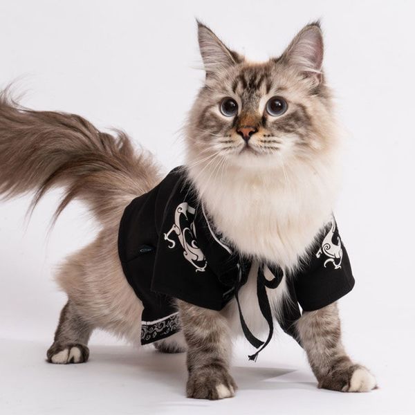 pet cat hanfu одежда летняя thin малые собаки одежда для собак tiktok знаменитости вдохновленный dragon robe anti-lint одежды
pet cat hanfu одежда летняя thin малые собаки одежда для собак tiktok знаменитости вдохновленный dragon robe anti-lint одежды