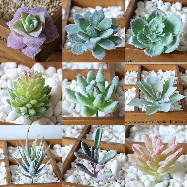 decorative flowers & wreaths 12pcs simulation succulents flocking small fake plant artificial decoration (12 random styles) without pot
decorative flowers & wreaths 12pcs simulation succulents flocking small fake plant artificial decoration (12 random styles) without pot