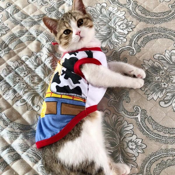 sweet pet cat vest shirt spring summer clothes costume for cats kitten shirts kedi clothing pets outfit ropa para gatos 
sweet pet cat vest shirt spring summer clothes costume for cats kitten shirts kedi clothing pets outfit ropa para gatos