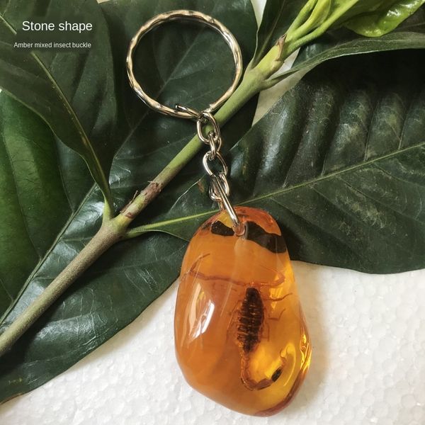 yebqe real specimen insect amber key chain artificial resin accessory scenic spot real specimen insect amber key chain artificial accessorie, Silver
yebqe real specimen insect amber key chain artificial resin accessory scenic spot real specimen insect amber key chain artificial accessorie, Silver