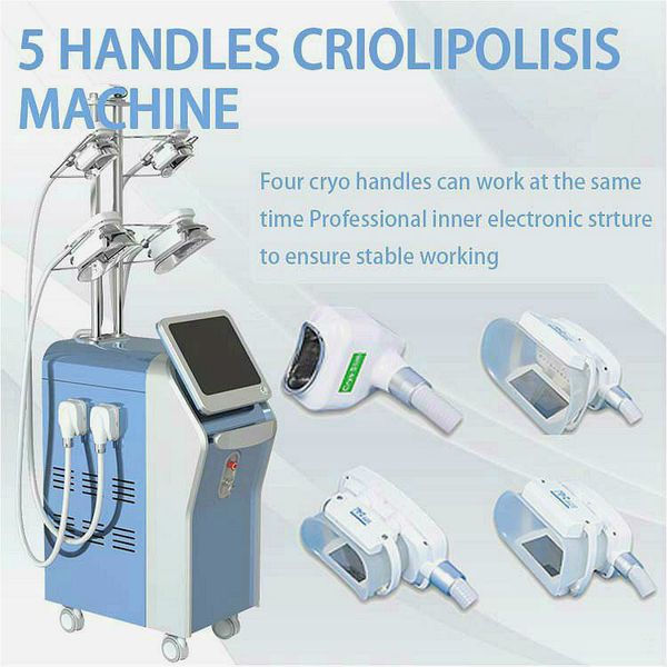 selling 5 cryo handles cryolipolyse machine fat e slimming cryolipolisis equipment with 360° double chin treatment handle ons sale
selling 5 cryo handles cryolipolyse machine fat e slimming cryolipolisis equipment with 360° double chin treatment handle ons sale