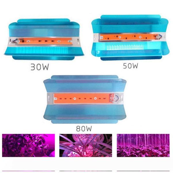 full spectrum led grow light 30w 50w 80w cob led grow flood light ac 110v 220v ip67 waterproof for plant greenhouse hydroponic
full spectrum led grow light 30w 50w 80w cob led grow flood light ac 110v 220v ip67 waterproof for plant greenhouse hydroponic