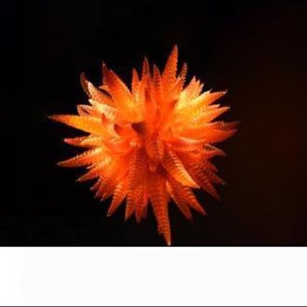 new arrival orange color glass horn shape chandelier glass murano art lighting for house decoration
new arrival orange color glass horn shape chandelier glass murano art lighting for house decoration