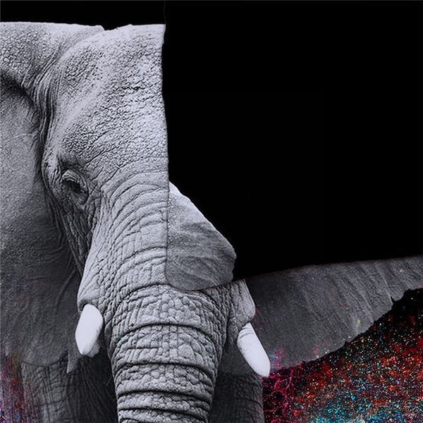 3d duvet cover set elephant bed linen black single double twin bedding set full king size home bed quilts cover 3pcs
3d duvet cover set elephant bed linen black single double twin bedding set full king size home bed quilts cover 3pcs