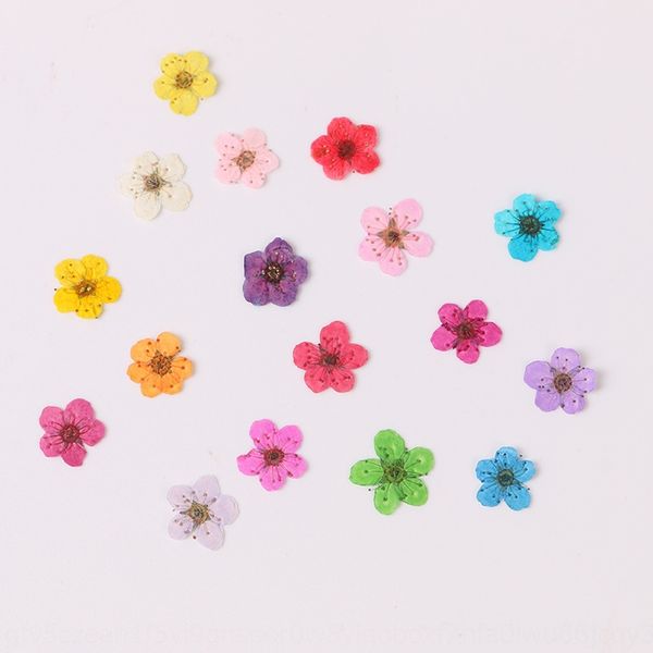mbs6k dripping glue accessory material manicure diy mobile phone case case dried flower embossed diy mobile phone shell embossed natural sma, Silver
mbs6k dripping glue accessory material manicure diy mobile phone case case dried flower embossed diy mobile phone shell embossed natural sma, Silver