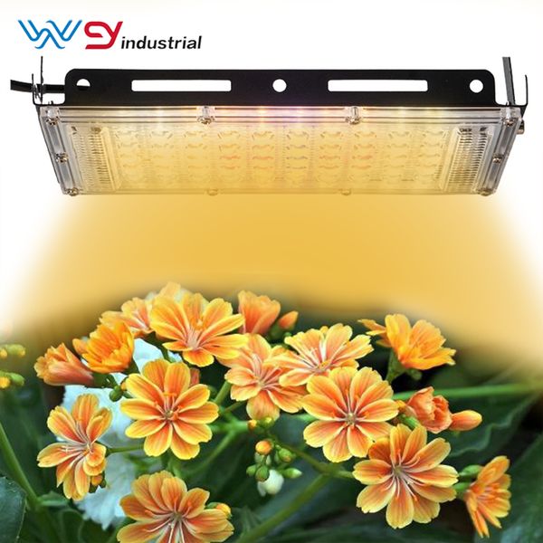 150w full spectrum hemp medical plant led grow light hydroponic grow tent veg flower growing lamp
150w full spectrum hemp medical plant led grow light hydroponic grow tent veg flower growing lamp