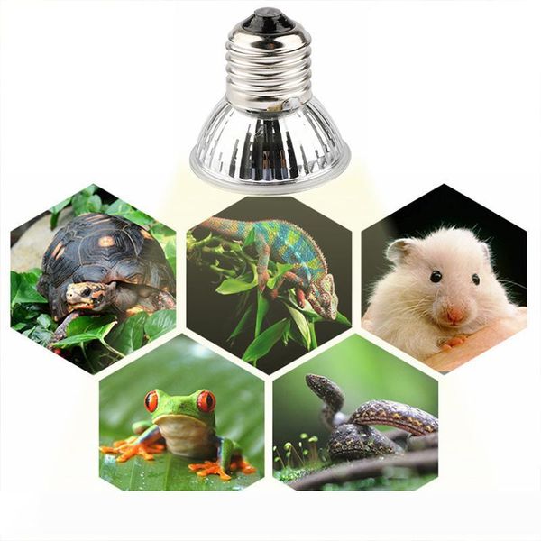 brelong 25 50 75w uva+uvb 3.0 reptile lamp bulb turtle basking uv light bulbs heating lamp amphibians lizards temperature controller
brelong 25 50 75w uva+uvb 3.0 reptile lamp bulb turtle basking uv light bulbs heating lamp amphibians lizards temperature controller