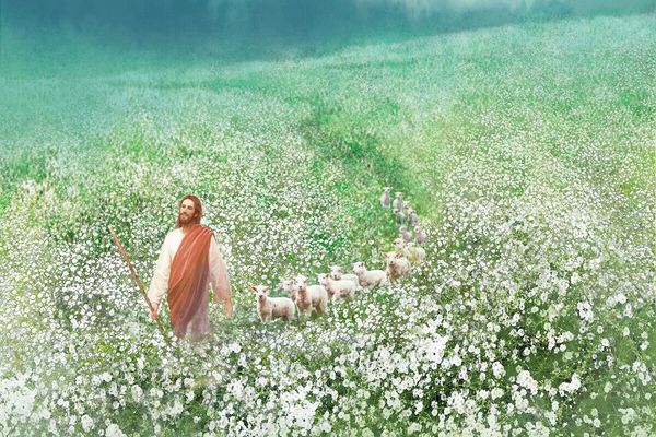 yongsung kim jesus leading lambs field white daisies home decor handpainted &hd print oil paintings on canvas wall art pictures a132
yongsung kim jesus leading lambs field white daisies home decor handpainted &hd print oil paintings on canvas wall art pictures a132