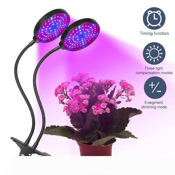 led grow light grow tent growing box lamp cultivo indoor cob led full spectrum plant light 2pc lot,5pc lotpc
led grow light grow tent growing box lamp cultivo indoor cob led full spectrum plant light 2pc lot,5pc lotpc