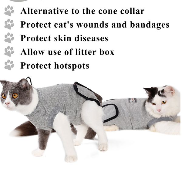 est pet cat recovery clothing after surgery pet wound licking sterilization clothing cotton intimate stability clothing
est pet cat recovery clothing after surgery pet wound licking sterilization clothing cotton intimate stability clothing