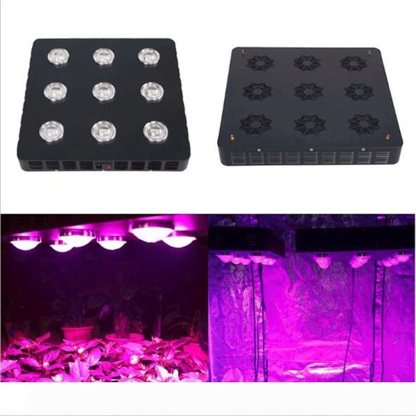 spider 9 cob 810w led plant grow light indoor greenhouse hydroponics full spectrum vegetable flower medical grow lamp
spider 9 cob 810w led plant grow light indoor greenhouse hydroponics full spectrum vegetable flower medical grow lamp