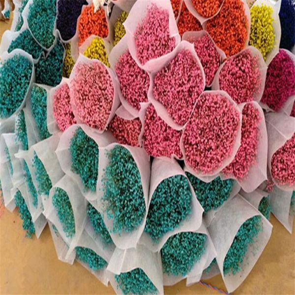 colorful dried gypsophila flower wedding party p props pure natural plant dried flowers cafe library home decoration 45-50cm
colorful dried gypsophila flower wedding party p props pure natural plant dried flowers cafe library home decoration 45-50cm
