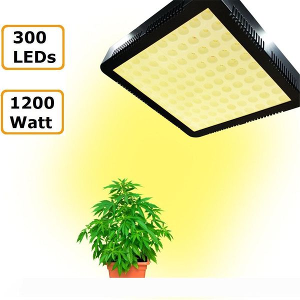 1000w 1200w led grow light recommeded high cost-effective double chips full spectrum led grow lights for hydroponic systems
1000w 1200w led grow light recommeded high cost-effective double chips full spectrum led grow lights for hydroponic systems