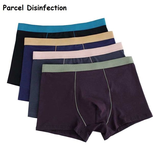 underpants 4 pcs/lot 9xl 8xl 7xl 6xl 5xl cotton cuecas men underwear boxers shorts boxer solid man large, Black;white
underpants 4 pcs/lot 9xl 8xl 7xl 6xl 5xl cotton cuecas men underwear boxers shorts boxer solid man large, Black;white