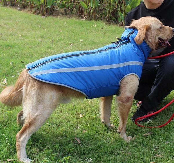 new autumn winter warm dog clothing windproof heat storage smooth pull neck adjustable reflective pet clothing xl-5xl size
new autumn winter warm dog clothing windproof heat storage smooth pull neck adjustable reflective pet clothing xl-5xl size