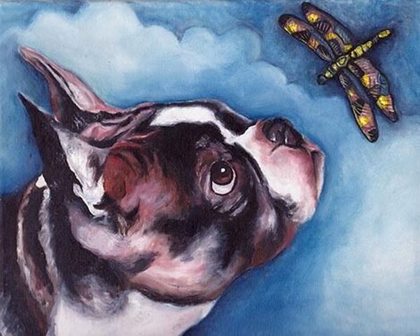 boston terrier dragonfly dog art painting vern home decor handcrafts /hd print oil painting on canvas wall art canvas pictures 200716
boston terrier dragonfly dog art painting vern home decor handcrafts /hd print oil painting on canvas wall art canvas pictures 200716