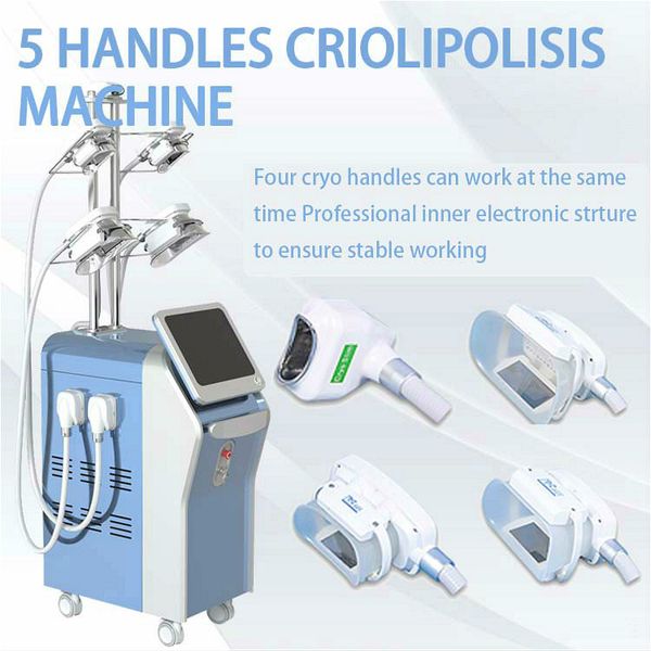 2020 cryolipolysis fat ing machine body sculpting cryolipolysis body slimming machine with 5 cryo handles 360° double chin handle
2020 cryolipolysis fat ing machine body sculpting cryolipolysis body slimming machine with 5 cryo handles 360° double chin handle