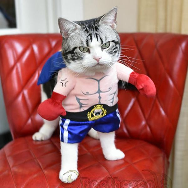 clothing funny dog cat costumes boxer cosplay suit pet halloween christmas uniform clothes for puppy dogs costume for a
clothing funny dog cat costumes boxer cosplay suit pet halloween christmas uniform clothes for puppy dogs costume for a