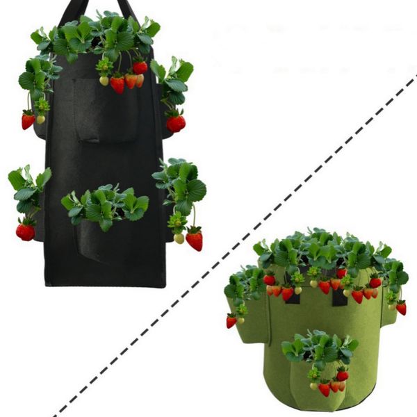 new suspended non-woven strawberry hanging bag gardening flower plant growth bag aerial 3 gallon planting bag garden supplies
new suspended non-woven strawberry hanging bag gardening flower plant growth bag aerial 3 gallon planting bag garden supplies