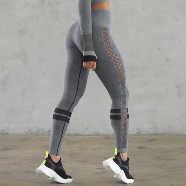 женщины фитнес бесшовная тренировки гетры sports wear высокой талией голеностопного длина поножи серый трикотажная quick dry приседания, White;red
женщины фитнес бесшовная тренировки гетры sports wear высокой талией голеностопного длина поножи серый трикотажная quick dry приседания, White;red