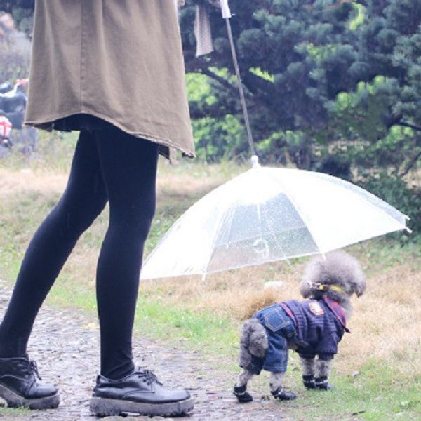 pet supplies portable clear pe dog cat umbrella universal puppy inverted umbrellas with long comfort handle
pet supplies portable clear pe dog cat umbrella universal puppy inverted umbrellas with long comfort handle