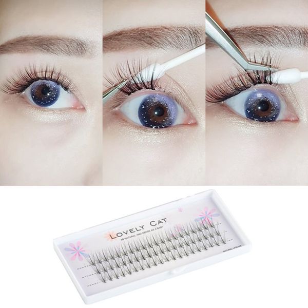10p eyelash extensions blossom fast lash premade fans c curl thickness 0.07mm soft and natural bunch high quality
10p eyelash extensions blossom fast lash premade fans c curl thickness 0.07mm soft and natural bunch high quality
