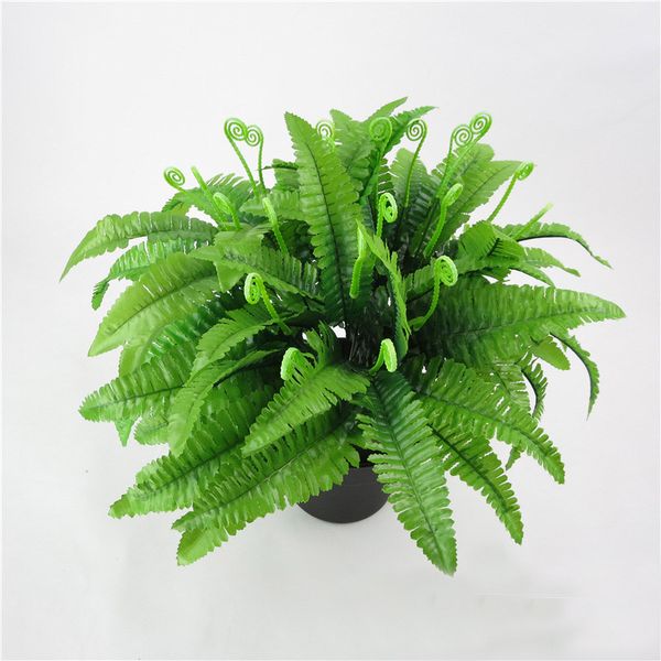 artificial silk persian leaves grass green fake lifelike plants floral home garden decorative flower
artificial silk persian leaves grass green fake lifelike plants floral home garden decorative flower