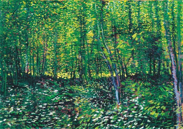 trees and undergrowth - van gogh home decor handpainted &hd print oil painting on canvas wall art canvas pictures 200711
trees and undergrowth - van gogh home decor handpainted &hd print oil painting on canvas wall art canvas pictures 200711