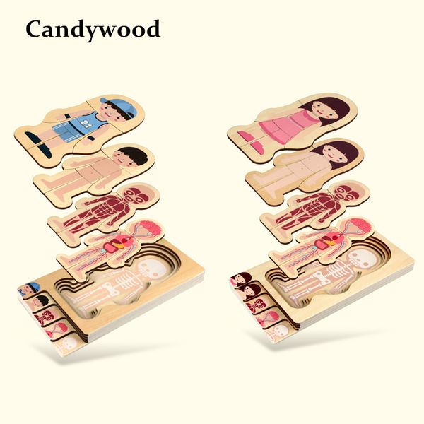montessori boys girls body structure puzzle wooden children puzzles kids early educational toys y200414
montessori boys girls body structure puzzle wooden children puzzles kids early educational toys y200414