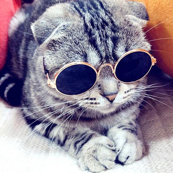 pet продукты прекрасные винтажные круглые cat очки отражение глаз носить очки для малого собака кошка pet фотографии реквизита аксессуары
pet продукты прекрасные винтажные круглые cat очки отражение глаз носить очки для малого собака кошка pet фотографии реквизита аксессуары