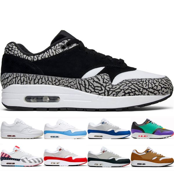 elephant sale running shoes anniversary royal shoes men women atomic teal bred era windbreaker orange parra red university blue sneakers
elephant sale running shoes anniversary royal shoes men women atomic teal bred era windbreaker orange parra red university blue sneakers