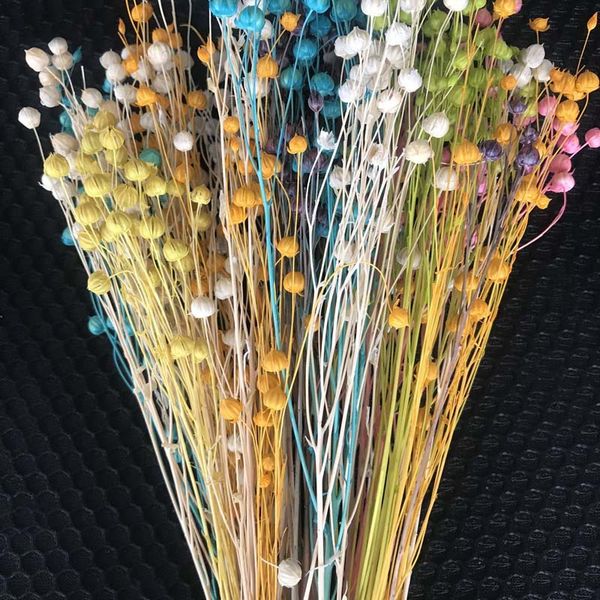 30-35cm/50g decorative jequirity branch,natural dried flowers bouquets,mini fruit jumble-beads,farmhouse home decor accessories
30-35cm/50g decorative jequirity branch,natural dried flowers bouquets,mini fruit jumble-beads,farmhouse home decor accessories