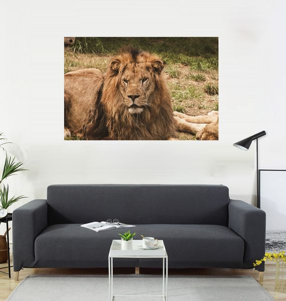 lion rest hanging painting hanging flag, living room decoration, sofa background, home interior decoration painting, 600d oxford cloth 100 *
lion rest hanging painting hanging flag, living room decoration, sofa background, home interior decoration painting, 600d oxford cloth 100 *