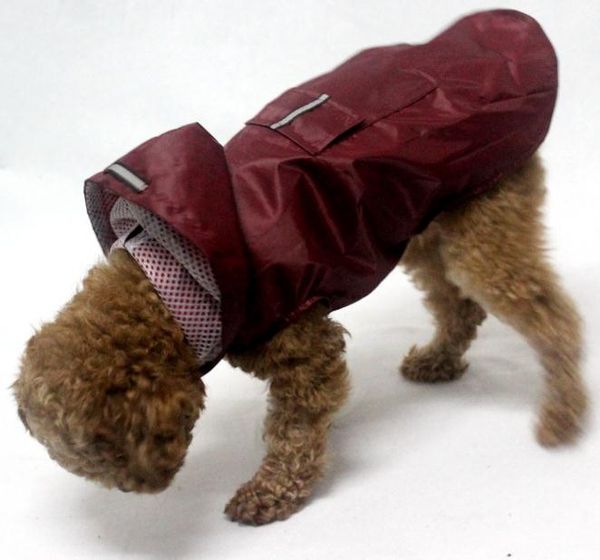 wholesale hight quality pet reflective big dog raincoat with poncho super waterproof hooded size dog clothing 4 colors
wholesale hight quality pet reflective big dog raincoat with poncho super waterproof hooded size dog clothing 4 colors