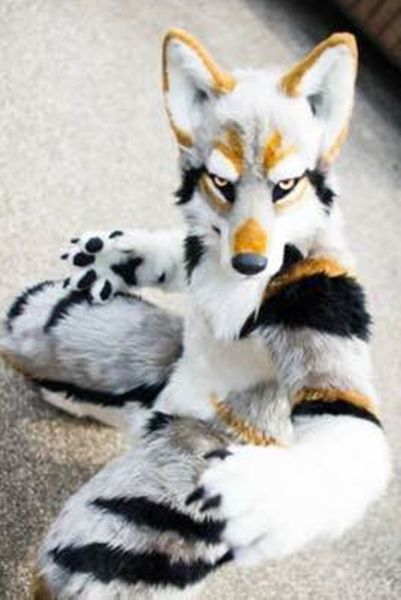 medium and long fur one mascot costume husky dog fox walking wolf cospaly party halloween costume, Red;yellow
medium and long fur one mascot costume husky dog fox walking wolf cospaly party halloween costume, Red;yellow