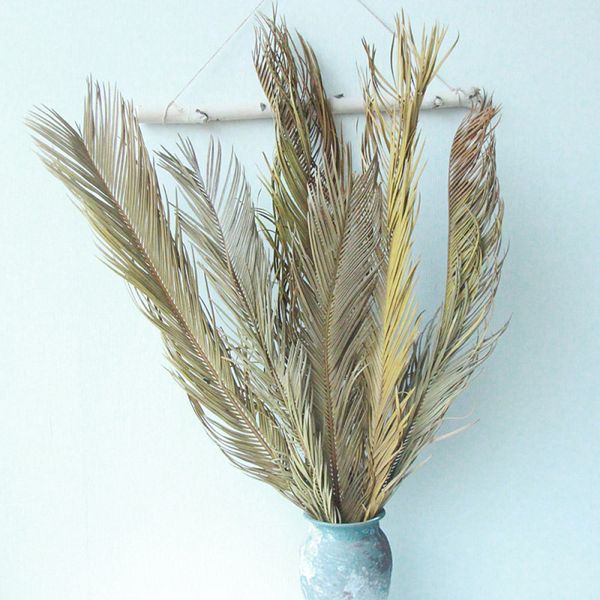 1pc природный сухоцветов железный лист завод diy главная свадеб vase цветочная композиция украшения
1pc природный сухоцветов железный лист завод diy главная свадеб vase цветочная композиция украшения