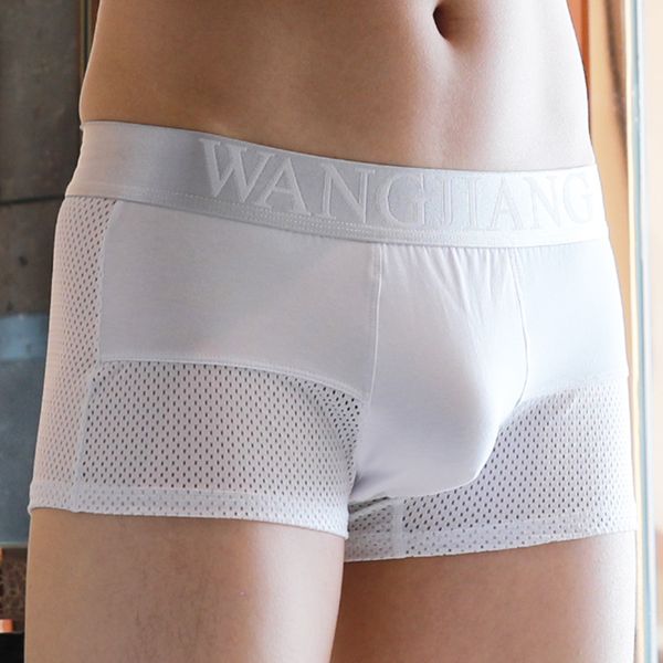 men underwear boxers men's boxers underwear cueca male panties mesh breathable soft underpants lingeries slip hombre, Black;white
men underwear boxers men's boxers underwear cueca male panties mesh breathable soft underpants lingeries slip hombre, Black;white