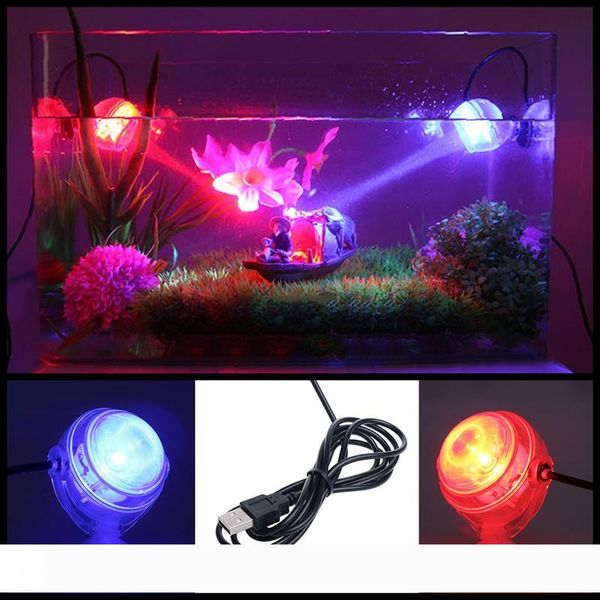 Indoor LED Underwater Lamp Waterproof LED Aquarium Light for Coral Reef Fish Tank Submersible Aquarium Light Spot Lamp
Indoor LED Underwater Lamp Waterproof LED Aquarium Light for Coral Reef Fish Tank Submersible Aquarium Light Spot Lamp