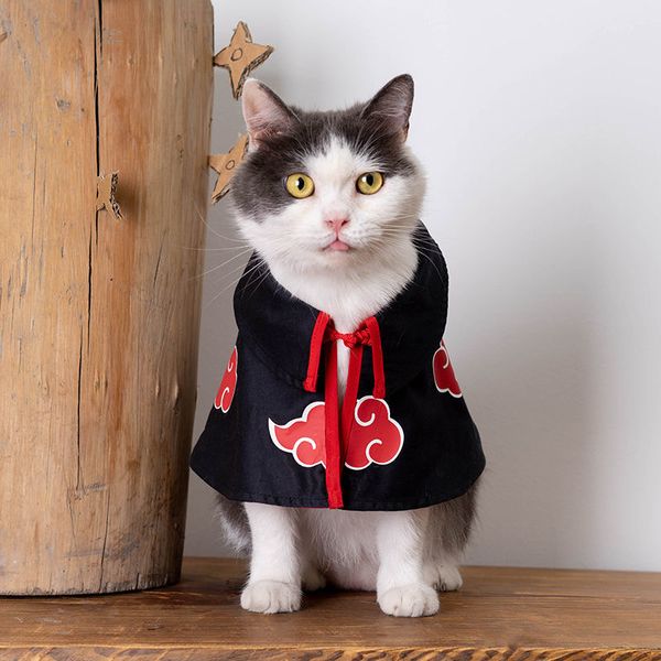 naruto organization cat cloak pet dog transformed teddy bear small dog cos suit ninja dress
naruto organization cat cloak pet dog transformed teddy bear small dog cos suit ninja dress