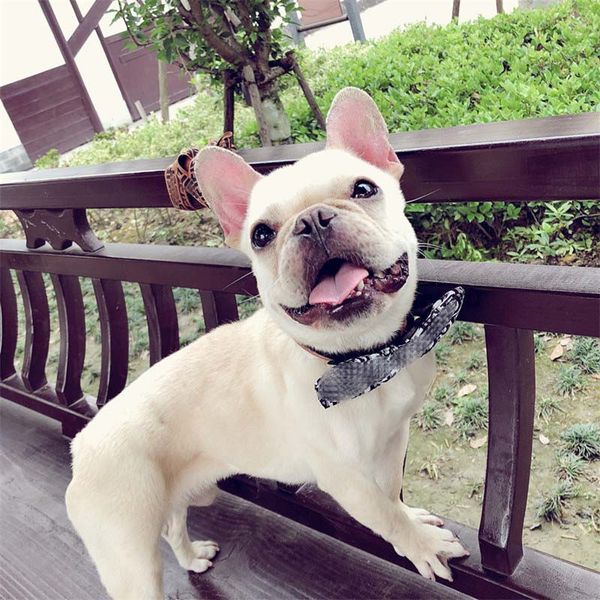 3 colors letter printed pet collars cute bow knot pattern pets leashes outdoor personality durable bulldog collar leashes
3 colors letter printed pet collars cute bow knot pattern pets leashes outdoor personality durable bulldog collar leashes