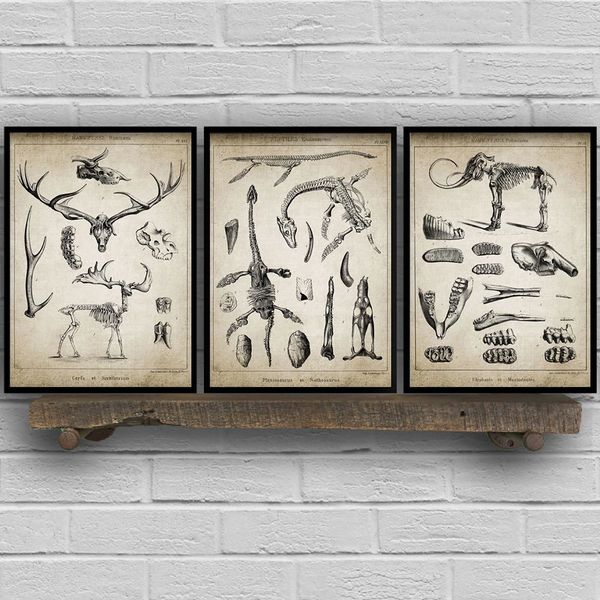 dinosaur elephant deer patent vintage print animal fossil skeletons canvas art poster wall pictures chemistry room home decor
dinosaur elephant deer patent vintage print animal fossil skeletons canvas art poster wall pictures chemistry room home decor